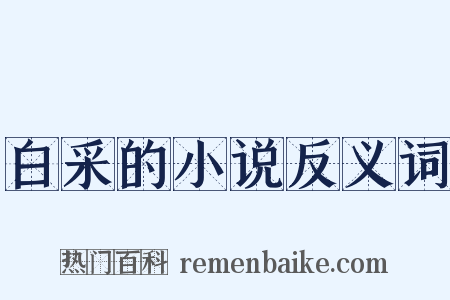 白采的小说反义词是什么意思的图片